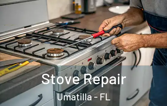  Stove Repair Umatilla - FL
