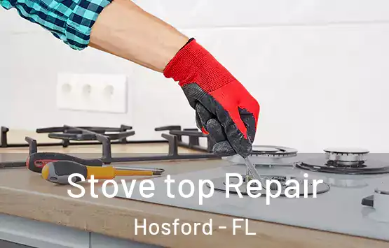  Stove top Repair Hosford - FL