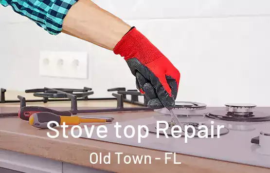  Stove top Repair Old Town - FL