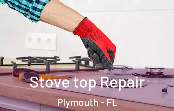  Stove top Repair Plymouth - FL