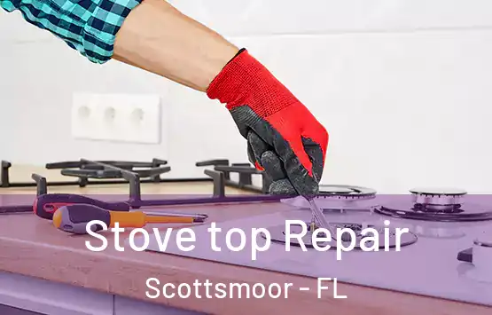  Stove top Repair Scottsmoor - FL