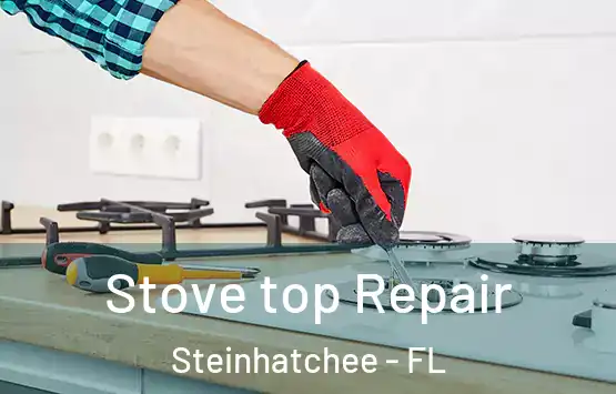  Stove top Repair Steinhatchee - FL