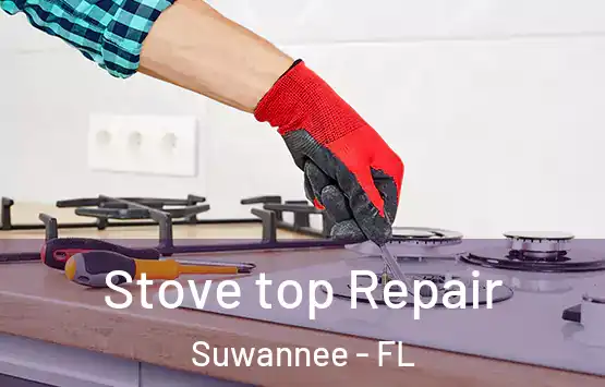  Stove top Repair Suwannee - FL