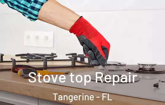  Stove top Repair Tangerine - FL