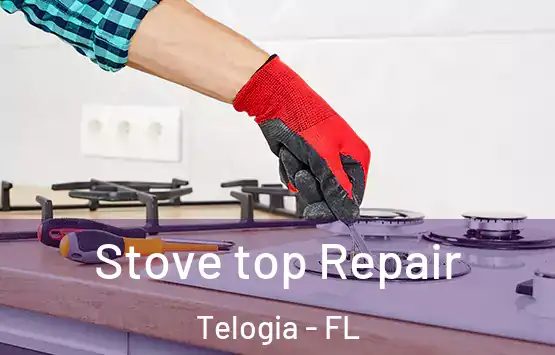  Stove top Repair Telogia - FL