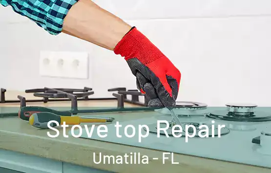  Stove top Repair Umatilla - FL