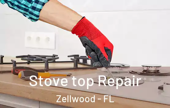  Stove top Repair Zellwood - FL