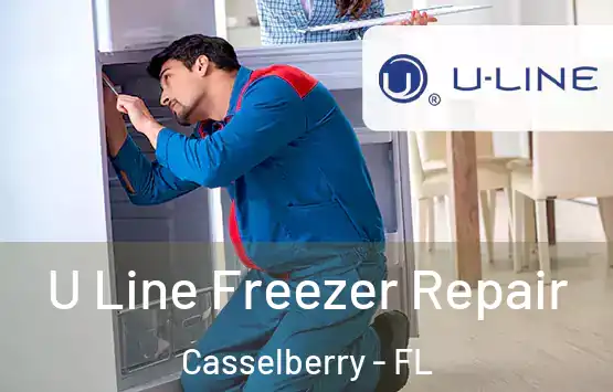  U Line Freezer Repair Casselberry - FL