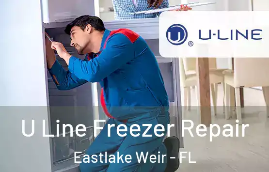  U Line Freezer Repair Eastlake Weir - FL