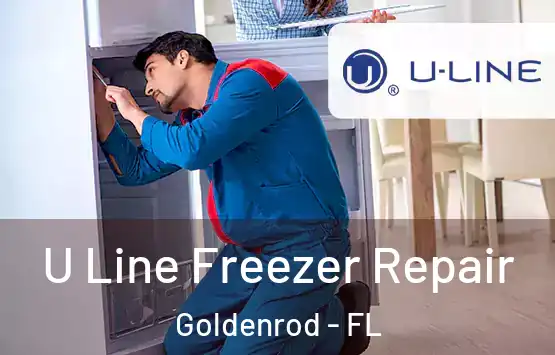  U Line Freezer Repair Goldenrod - FL