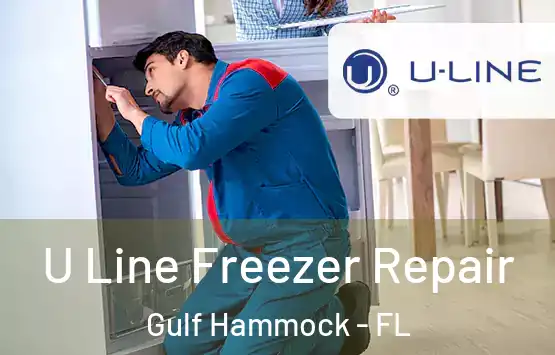  U Line Freezer Repair Gulf Hammock - FL