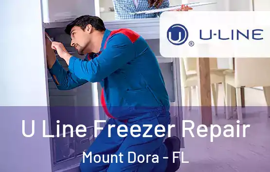 U Line Freezer Repair Mount Dora - FL