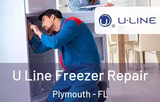  U Line Freezer Repair Plymouth - FL