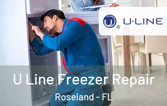  U Line Freezer Repair Roseland - FL