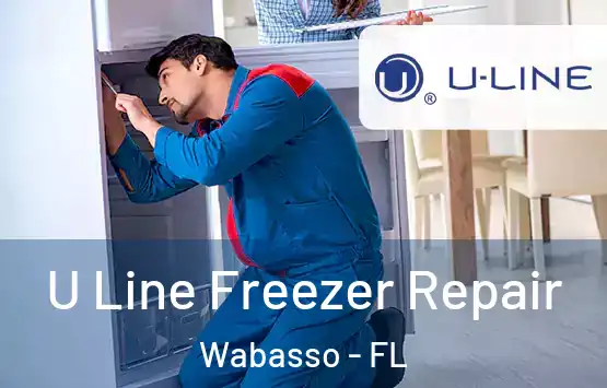  U Line Freezer Repair Wabasso - FL