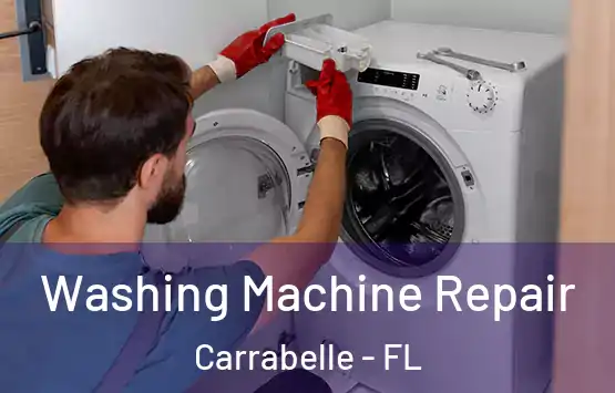  Washing Machine Repair Carrabelle - FL