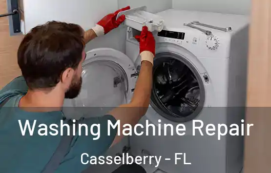  Washing Machine Repair Casselberry - FL