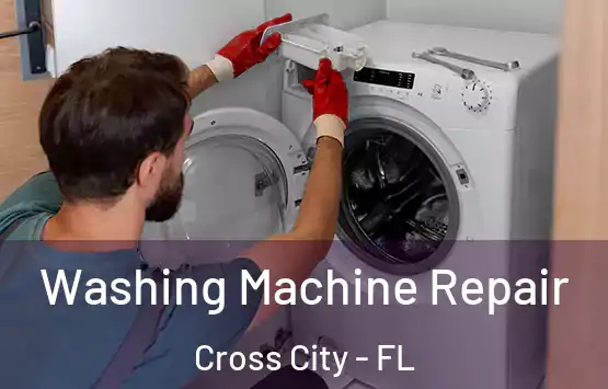  Washing Machine Repair Cross City - FL