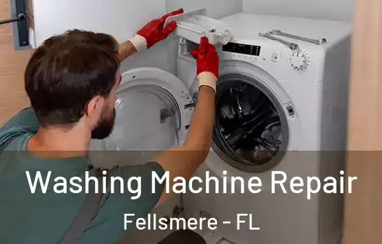  Washing Machine Repair Fellsmere - FL