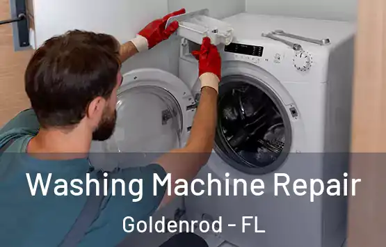  Washing Machine Repair Goldenrod - FL