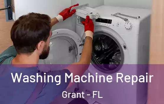  Washing Machine Repair Grant - FL