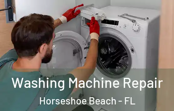  Washing Machine Repair Horseshoe Beach - FL