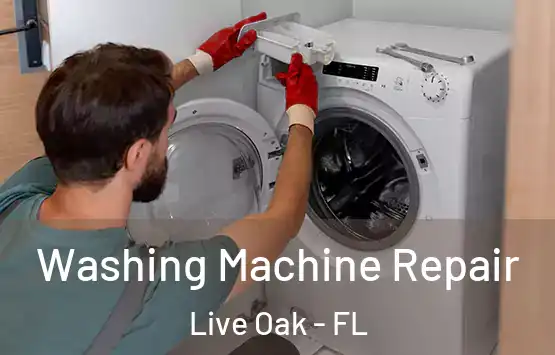  Washing Machine Repair Live Oak - FL