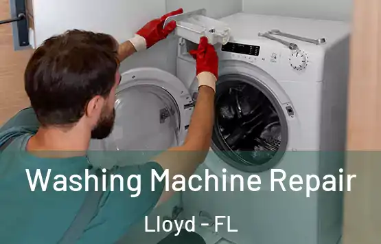  Washing Machine Repair Lloyd - FL