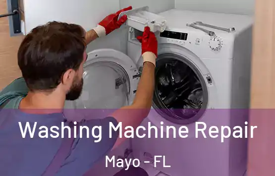  Washing Machine Repair Mayo - FL