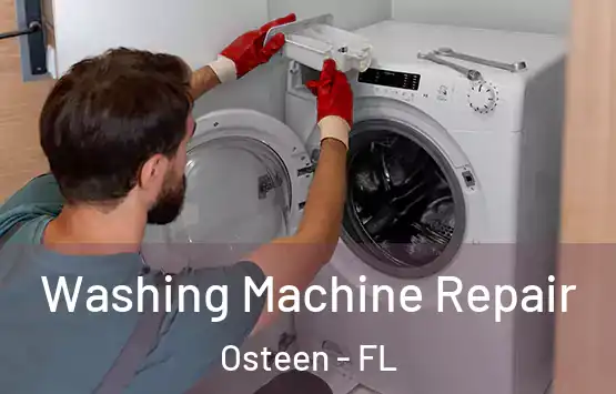  Washing Machine Repair Osteen - FL