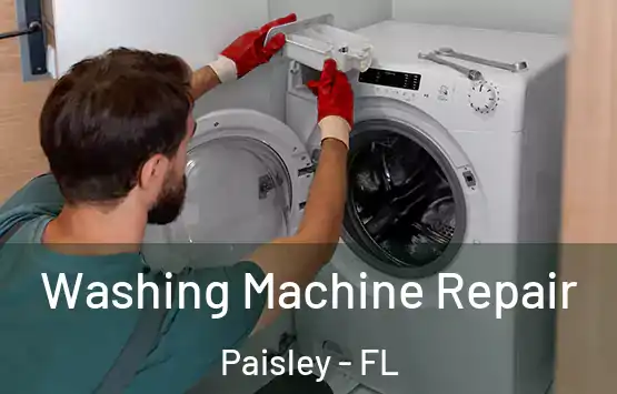  Washing Machine Repair Paisley - FL