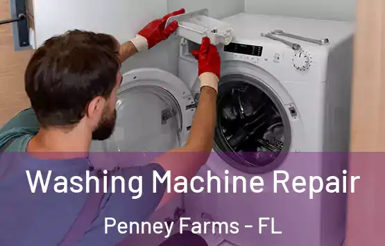  Washing Machine Repair Penney Farms - FL