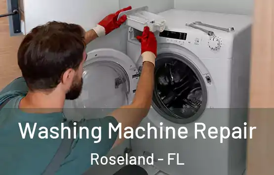  Washing Machine Repair Roseland - FL
