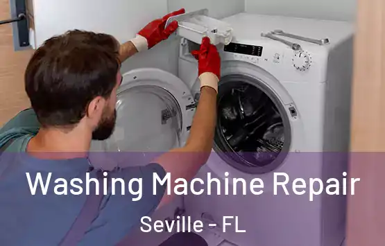  Washing Machine Repair Seville - FL
