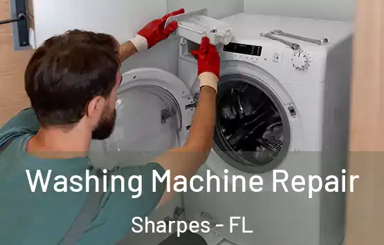  Washing Machine Repair Sharpes - FL