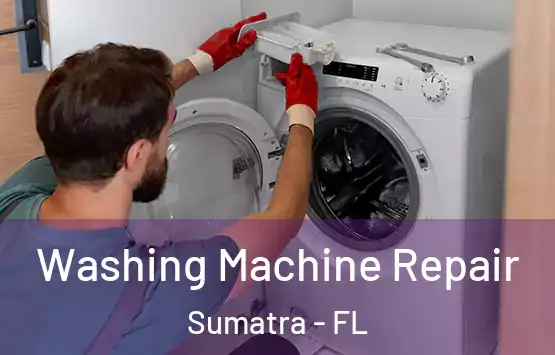  Washing Machine Repair Sumatra - FL