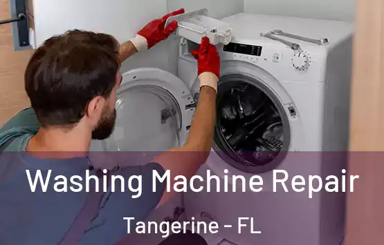  Washing Machine Repair Tangerine - FL