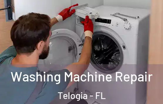  Washing Machine Repair Telogia - FL