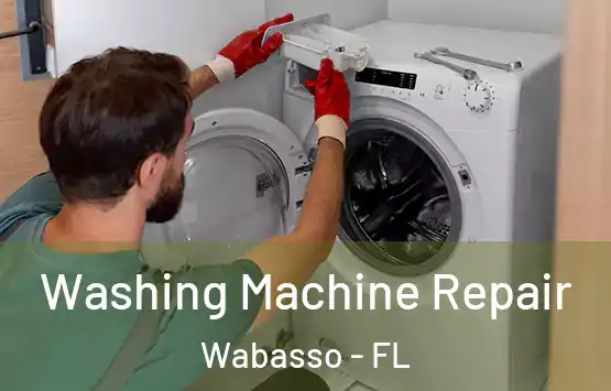  Washing Machine Repair Wabasso - FL