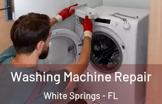  Washing Machine Repair White Springs - FL