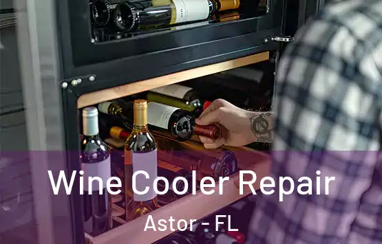  Wine Cooler Repair Astor - FL