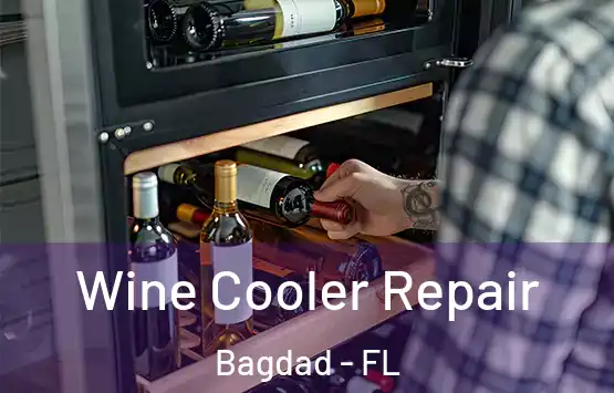 Wine Cooler Repair Bagdad - FL
