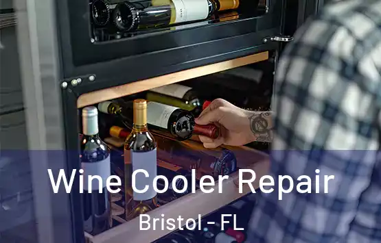  Wine Cooler Repair Bristol - FL