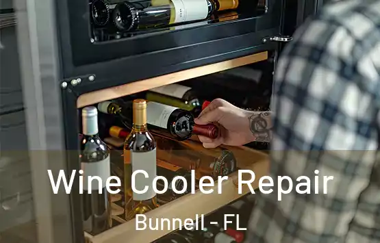  Wine Cooler Repair Bunnell - FL