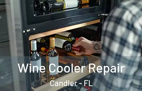  Wine Cooler Repair Candler - FL