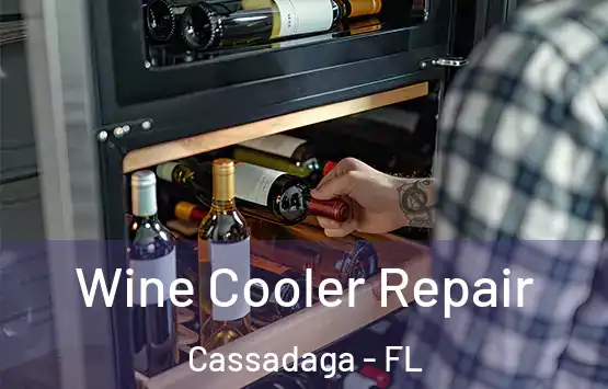  Wine Cooler Repair Cassadaga - FL