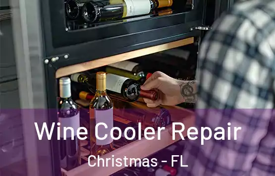  Wine Cooler Repair Christmas - FL