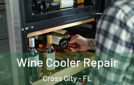  Wine Cooler Repair Cross City - FL
