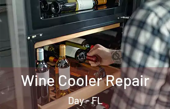  Wine Cooler Repair Day - FL