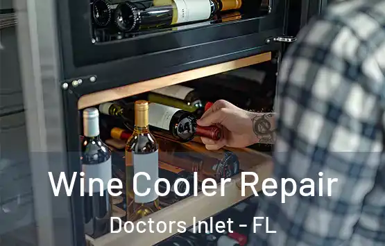  Wine Cooler Repair Doctors Inlet - FL